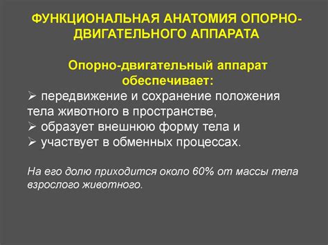 Опорно-двигательный аппарат - презентация онлайн