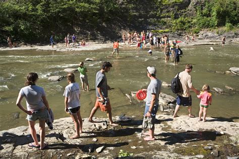 Rare bursar cornell university Row