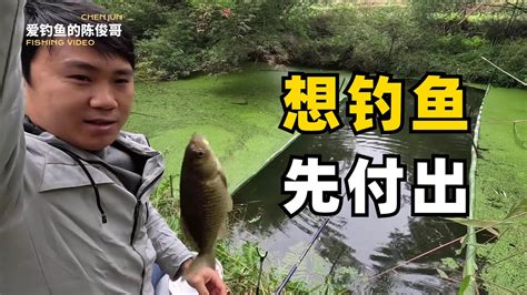 【野外釣魚】要釣到魚還是得付出，兩個人花一天時間搞的釣位，終於不再空軍 Youtube