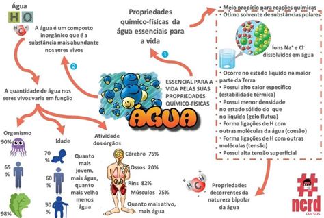 Biologia Da Agua - A água e sua importância | nerdcursos | Mapas mentais, Bioquímica, Biologia