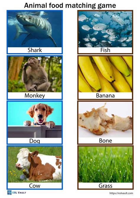 Animal food matching game PDFs with 48 free cards - ESL Vault