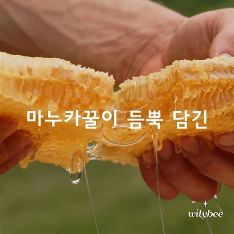 윌리비 뉴질랜드 마누카꿀캔디 Shorts Youtube