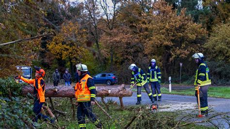 Amtliche DWD Warnungen vor Schnee Frost und Glätte in Rhein Main