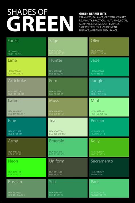 Fern Or Olive