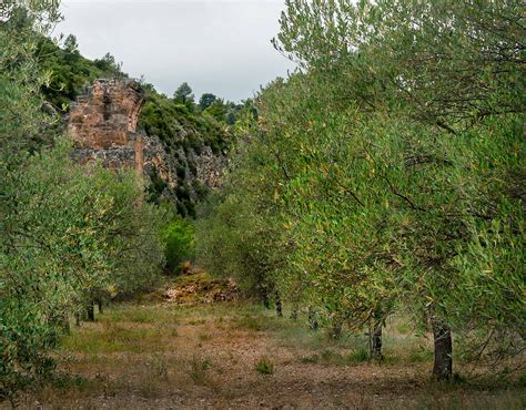 Miscelánea Geográfica Joaquín Bérchez