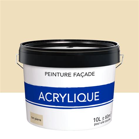 Peinture extérieure façade ton pierre mat 10l Leroy Merlin