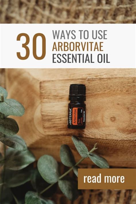 Arborvitae Essential Oil Uses Diffuser Blends And Recipes Desert