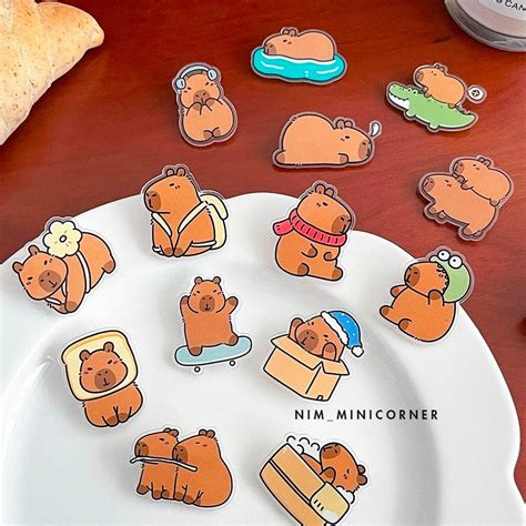 HOT Capybara Labubu Pin Ghim Huy hiệu cài Capy Labubu nhiều mẫu cute Shopee Việt Nam