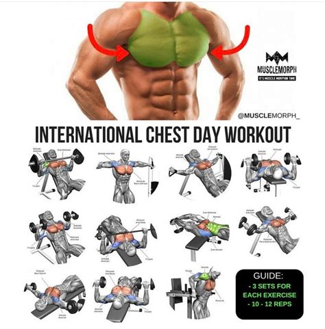 Pin By Cannibal Fitness On Exercise Chest Day Workout Best Chest