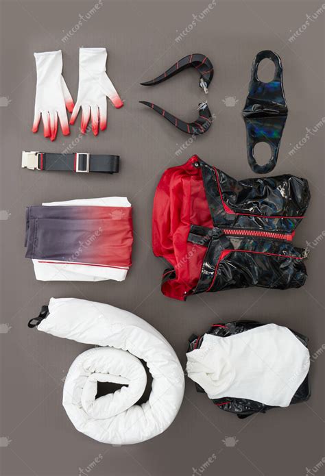 Top And Pants With Coat And Tail Cyberpunk Dragon Girl Lingerie Set Top Quality Lingerie For