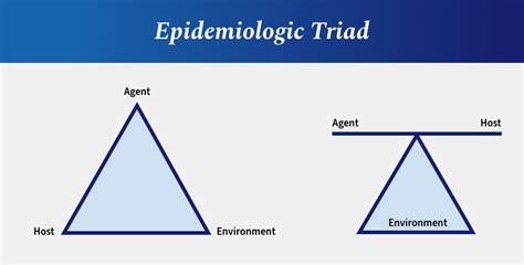 Using The Cdcs Infection Control Pyramid To Minimize And Manage