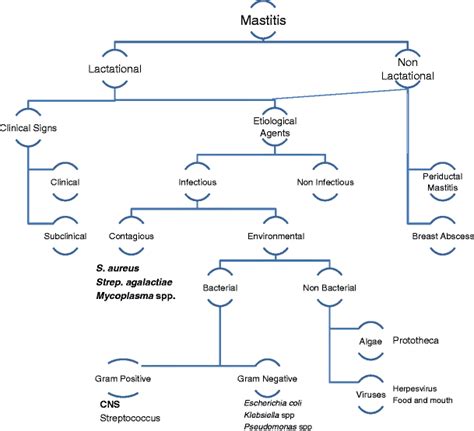 Mastitis Comparative Etiology And Epidemiology Springerlink