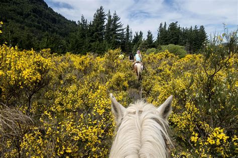 Más De 300 000 Imágenes Gratis De Norte Argentina Paisajes Y Argentina