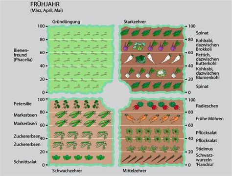 Mit Fruchtwechsel Zu Mehr Erfolg Im Gem Segarten Februar