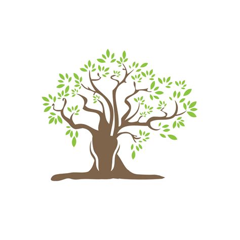 tree logo template nature icon design vector tree icon concept