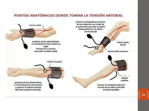 Presion Arterial Clase Virtual