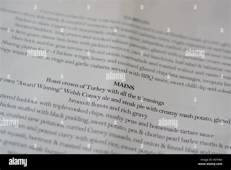 Main Course Restaurant Menu Hi Res Stock Photography And Images Alamy