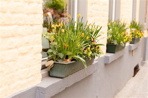 20 Window Box Vegetable Garden Ideas To Consider Sharonsable