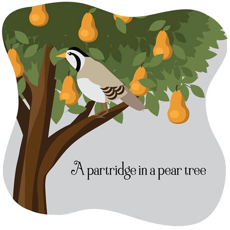 Куропатка на грушевом дереве - 53 фото