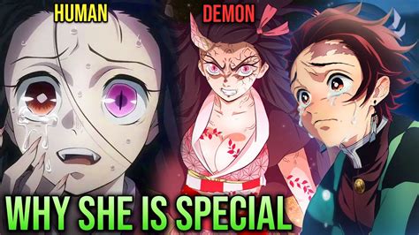 The Death And Rebirth Of Nezuko Why Muzan Wants To Eat Nezuko ☀️ Demon Slayer Kimetsu No