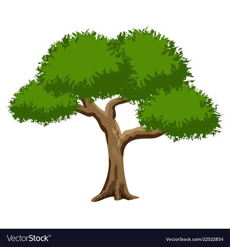 Green tree isolated on white background Royalty Free Vector