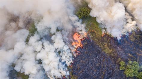 Use Cases for Remote Sensing in Forest Fire Management - Mapware