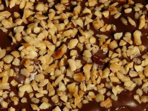 Hazelnut Cake Chocolate Icing Free Photo On Pixabay Pixabay