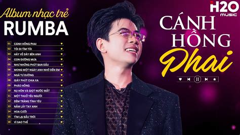 Lk Rumba T Long Vinh C Nh H Ng Phai T I I T M T I Album Rumba Nh C Tr Hot Nh T Youtube