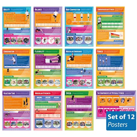 Buy Components of Physical Fitness s - Set of 12 | PE s | Gloss Paper