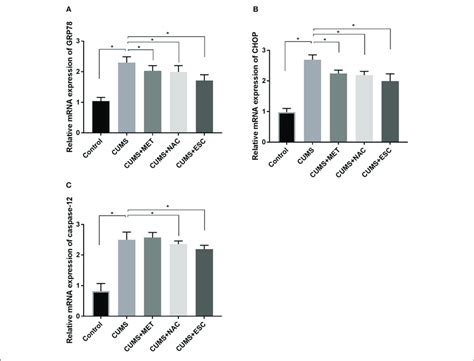 Effect Of MET NAC And ESC On The MRNA Levels Of ERS Markers In