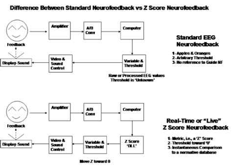 New Advances In Electrical Neuroimaging Brain Networks And