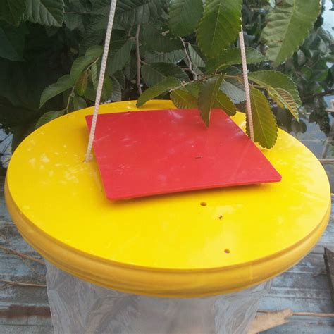 Red Drosophila Fly Trap Top Catcher The Ultimate Fly Catcher Insect Bug