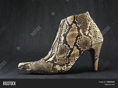 Shoes Made Snake Skin Image & Photo (Free Trial) | Bigstock