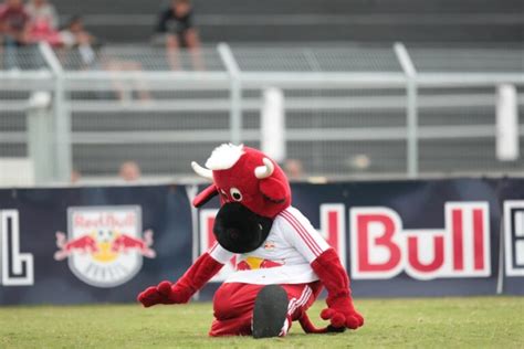 Conheça Os Mascotes De Times De Futebol Brasileiro - Ei Sports