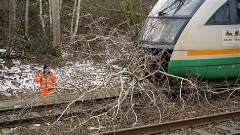 Bautzen Baum auf Gleis sorgt für Verspätung Sächsische de