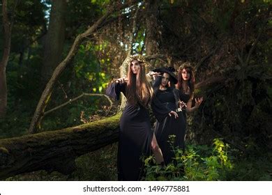 Couple Love Have Sex Outdoor Trees Stock Photo Shutterstock