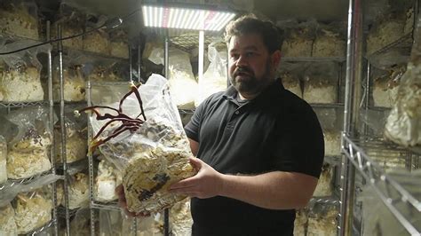 Watch Nature's Hidden Miracles - Season 1 | Prime Video