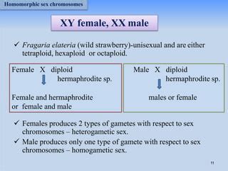 SEX DETERMINATION MECHANISMS IN PLANTS PPTX