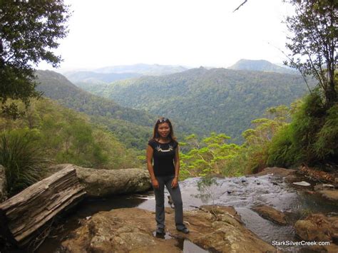 Hiking in Springbrook National Park, Australia | Stark Insider