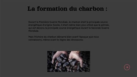 La Formation Du Charbon