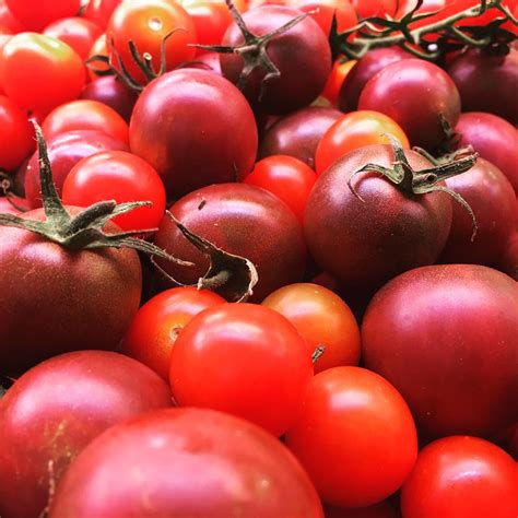 15 types of people you would have come across at La Tomatina 2016 ...