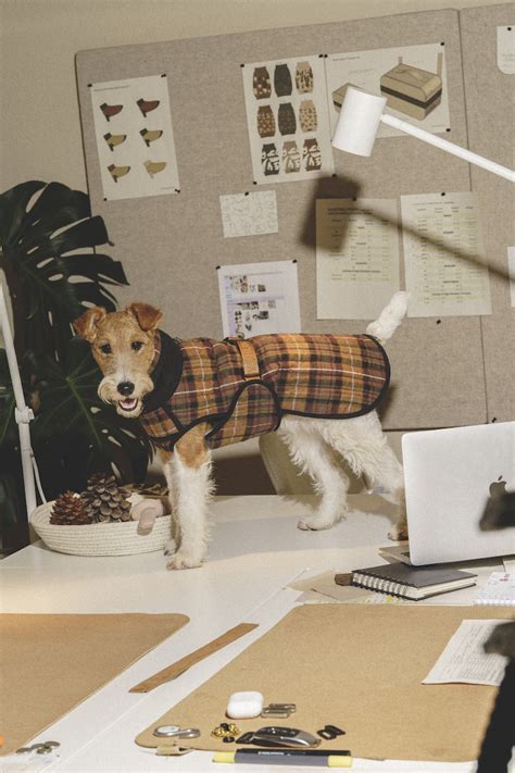 Попона "Пони-Шерлокони" – купить за 6 490 ₽ | HuntingPony