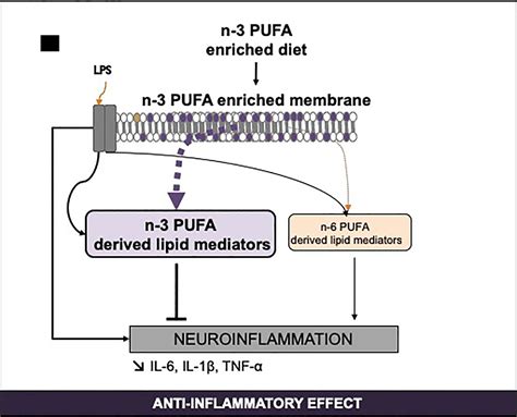 Frontiers N 3 Polyunsaturated Fatty Acids And The Resolution Of