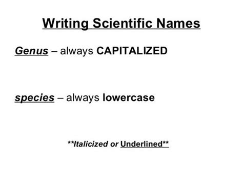 Binomial Nomenclature Definition Classification System Off