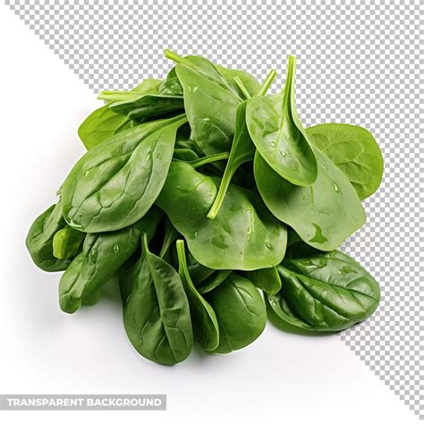 Premium Psd Psd Spinach Isolated Without Background