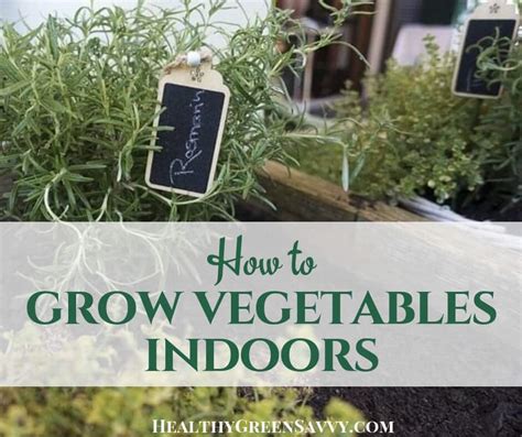 How To Grow Vegetables Indoors This Season Healthygreensavvy