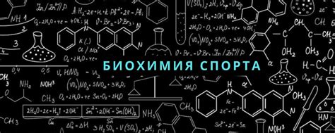 Биохимия спорта 2025 | ВКонтакте