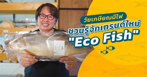 วัยเกษียณมีไฟ ชวนรู้จักเทรนด์ใหม่ Eco Fish - เค้าท์อัพ | ใช้ชีวิตหลัง ...