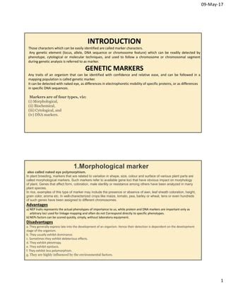 Molecular Markers PDF