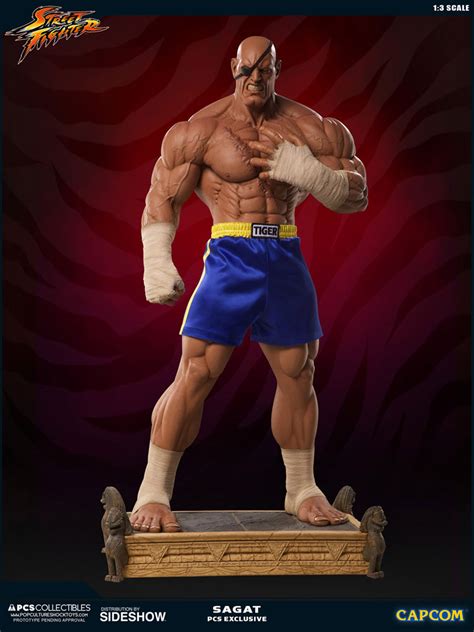 Street fighter 5 sagat - wifitoo